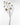 Butterfly stems