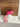 JME Taffeta Pink Fused