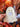 Ghost Plate (8 plates)