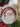 Tartan Santa Platter Sat